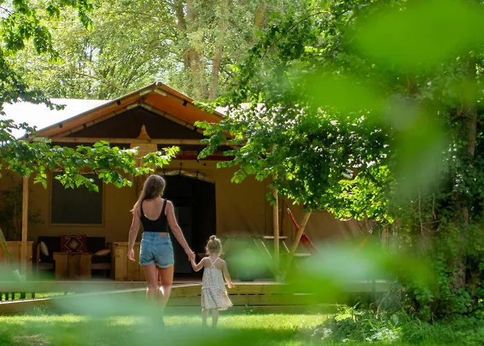 Ecolodges De Dreef